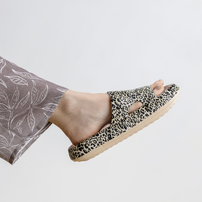 Leopard Slides - Cloud Slides